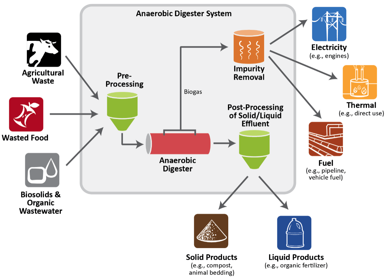 Conversion Technology